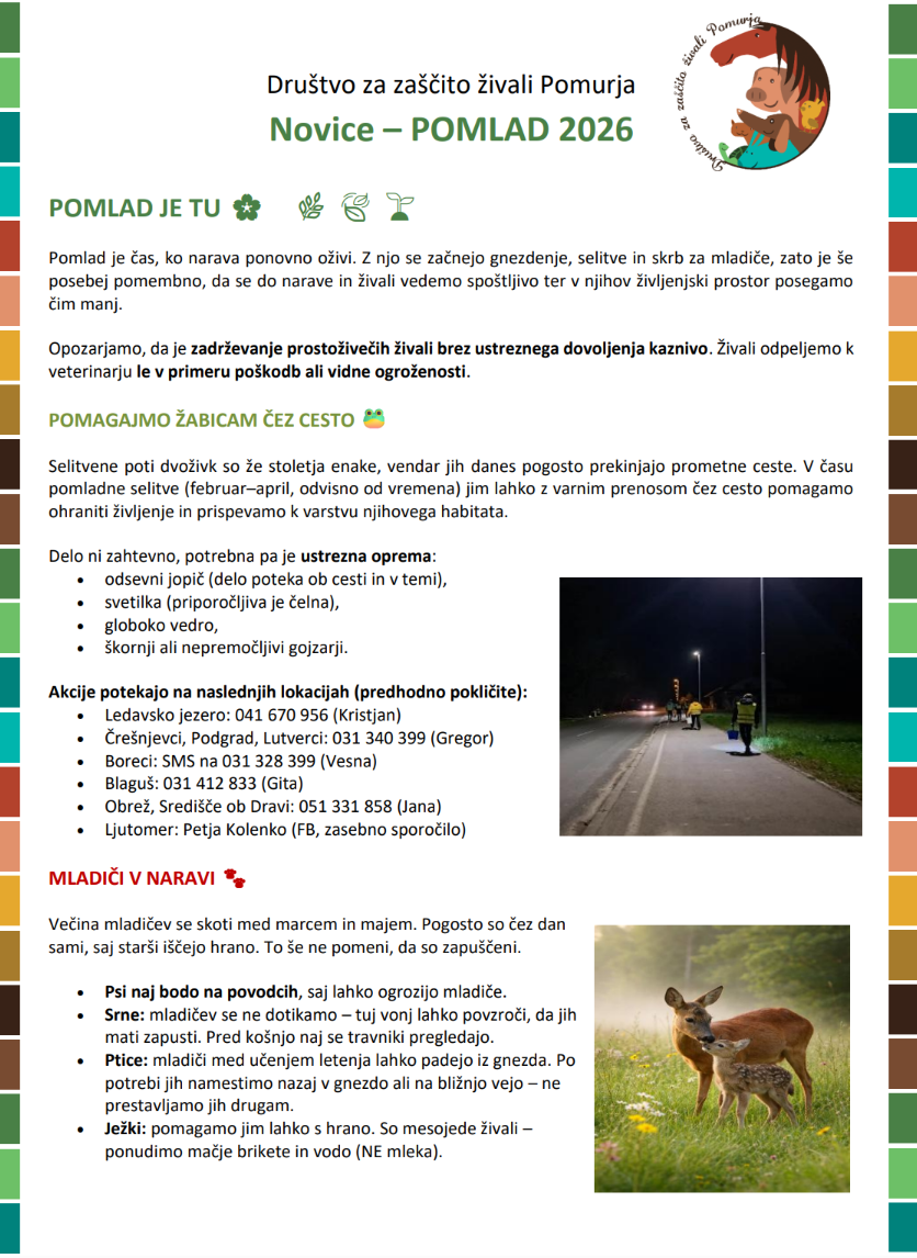 Posnetek zaslona 2026-03-06 074655